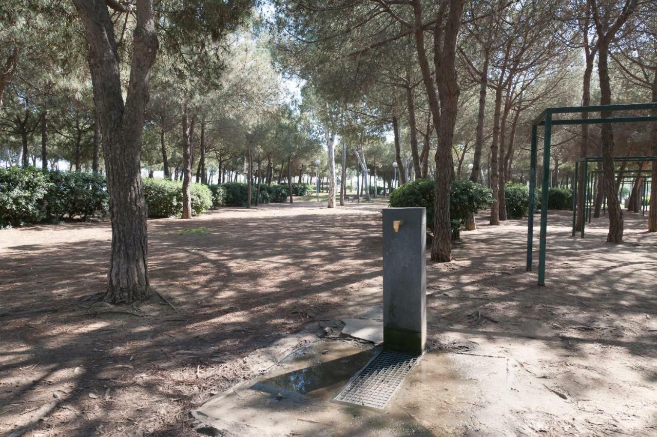 Basic Platja Daire Barselona Dış mekan fotoğraf